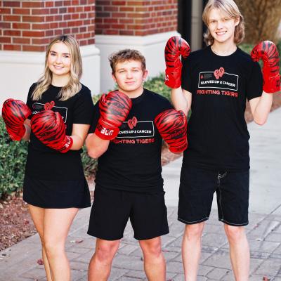 Gloves up to Cancer Fighting Tigers