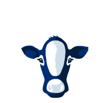 Fairlife with image of blue dairy cow below text